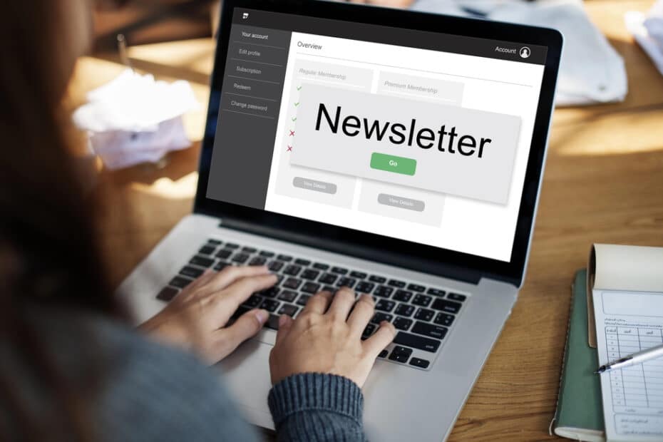 newsletter business